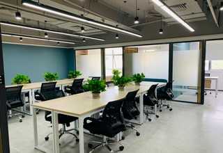 海南纯中药面膜代理商